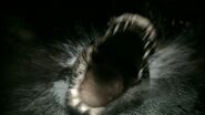 Rouge (2007)