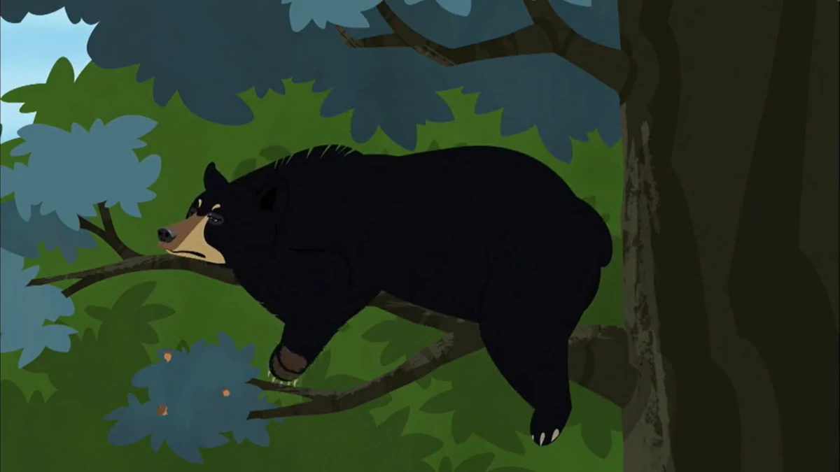 List Species of Wild Kratts Animal | NatureRules1 Wiki | Fandom