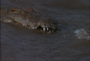 Running Wild (1992)