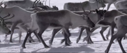 Seasons (2015)