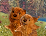 The Wonder Pets (2006-2013)