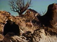 Mustang! (1973)