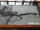 Plesiosaurus