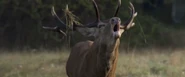 Seasons (2015)