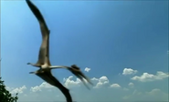 Giant Monsters (2003)