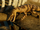 Anatosuchus