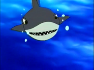 Hoshi No Kaabii (2001-2003)