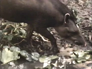 Life in the Balance (1991)