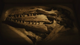 Sea Rex Goronyosaurus