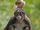 Brown Spider Monkey