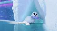 Harp Seal | NatureRules1 Wiki | Fandom