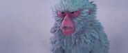 Kubo and the Two Strings (2016)