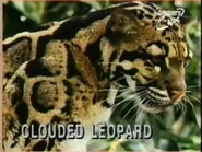 Zooventure (1997-2000)