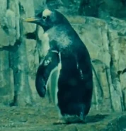 Definitely, Maybe (2008)