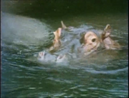Eyewitness (1994-1997)