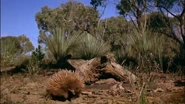 Australia: The Land Beyond Time (2002)