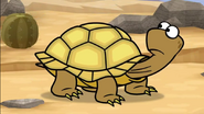 Nature Cat (2015-2024)