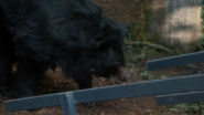 Our Zoo (2014)