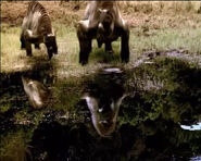 Walking with Cavemen (2003)