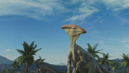 Sea Rex (2010)