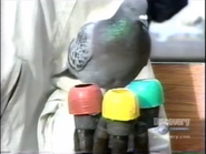 Clever Critters (2001)