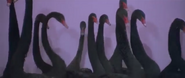 The Holy Mountain (1973)
