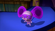Viva Pinata (2009-2010)