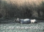 Wild Guess (1988)