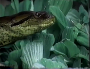 Hunters (1994)