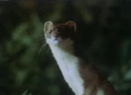 Life on Earth (1979)