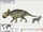 Avaceratops