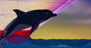 The Pebble and the Penguin (1995)