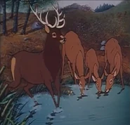 The Seventh Match (1982)