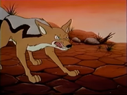 Meerkats (1987)
