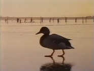 Winter Days (1984)