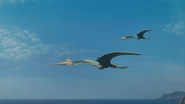 Sea Rex (2010)