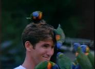 The Endless Summer II (1994)