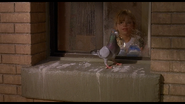 The Perfect Man (2005)