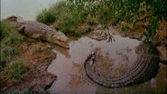 Australia: The Land Beyond Time (2002)