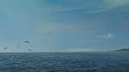 Sea Rex (2010)