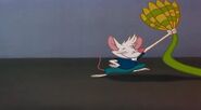 Cats Don't Dance (1997)