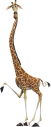 Melman the Reticulated Giraffe