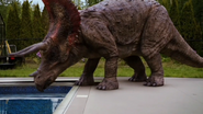 Primeval (2007-2011)