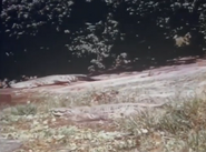 Below The Sahara (1953)