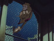 Dumbo (1941)