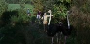 Call Me Bwana (1963)