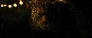 Jumanji: Welcome to the Jungle (2017)