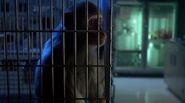 Outbreak (1995)