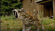 Primeval (2007-2011)