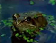 Taking to the Air (1991)